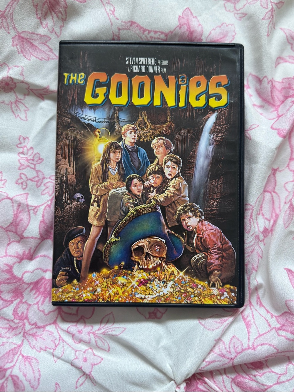 The Goonies DVD Movie - Black Case